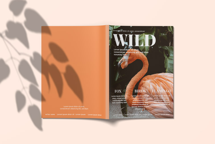 40+ Download Free Online Book Mockup Generator&nbsp;Psd